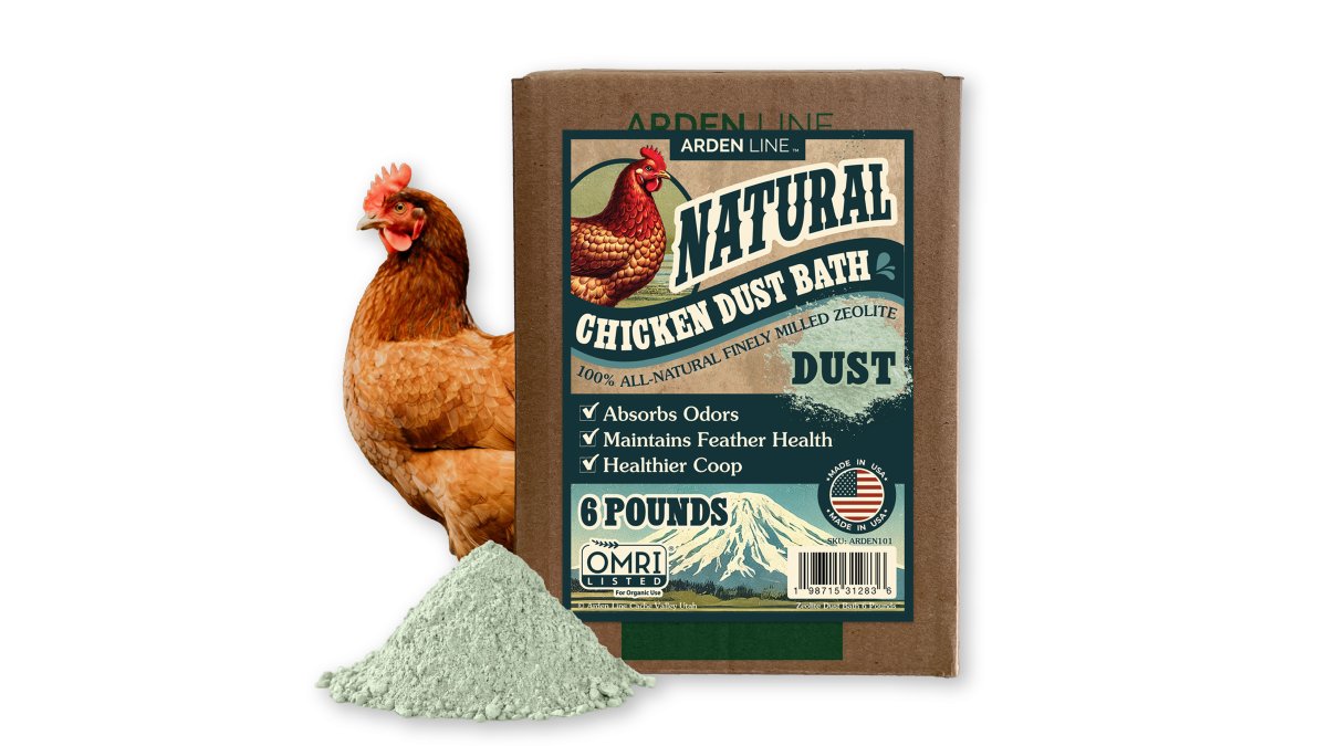 7 Best Natural Additives for Chicken Dust Baths
