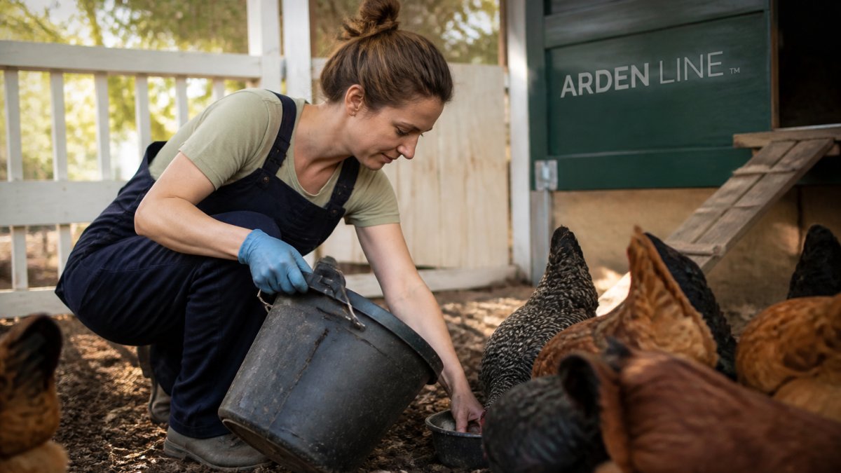 How to Prevent Respiratory Illness in Backyard Flocks