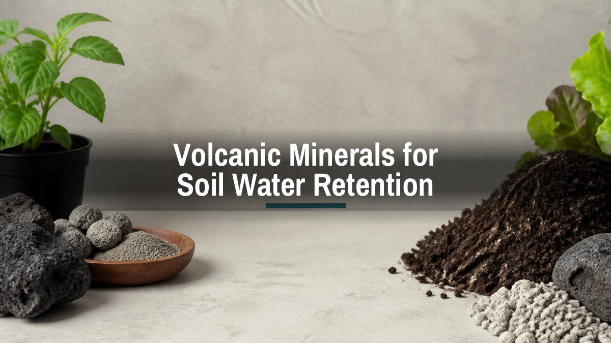 Volcanic Minerals for Soil Water Retention