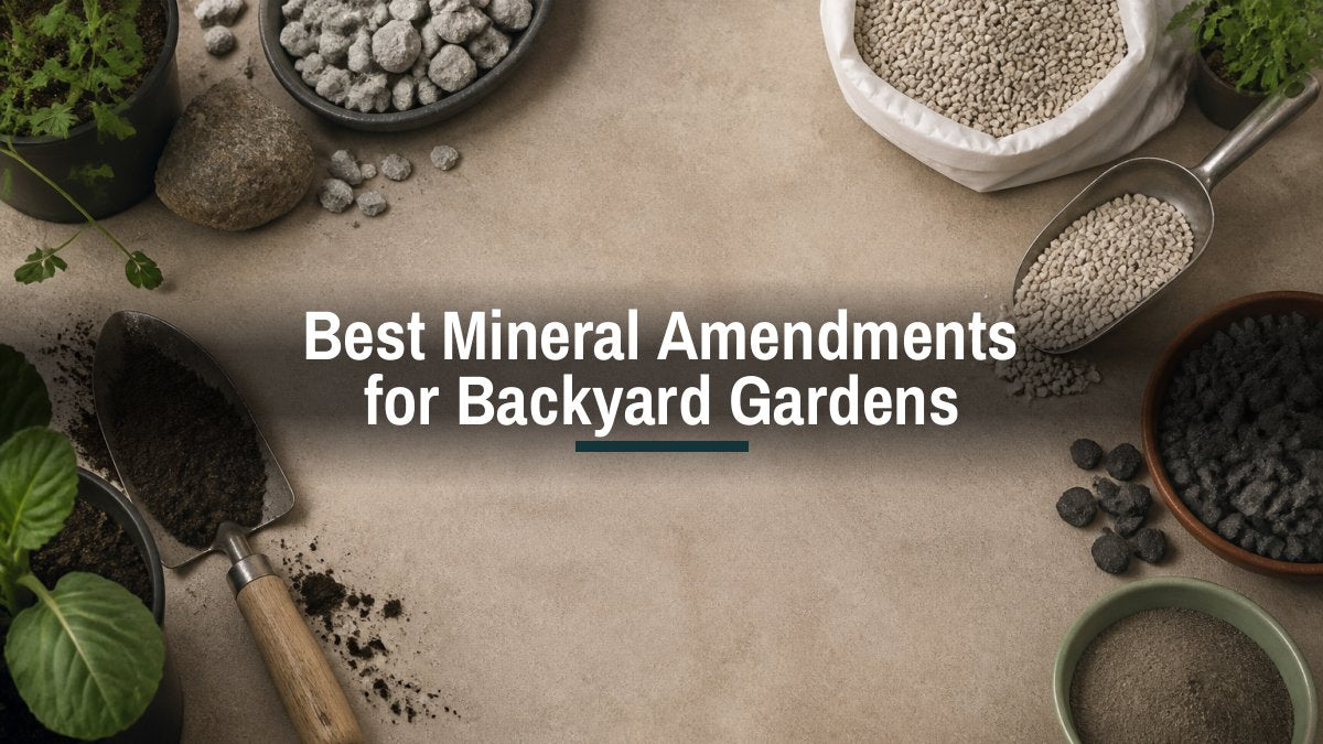 Best Mineral Amendments for Backyard Gardens