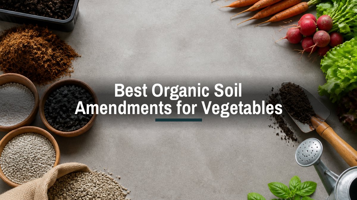 Best Organic Soil Amendments for Vegetables