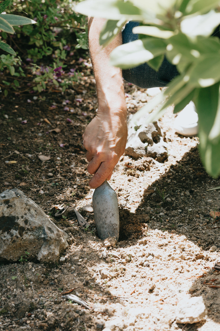 Garden & soil